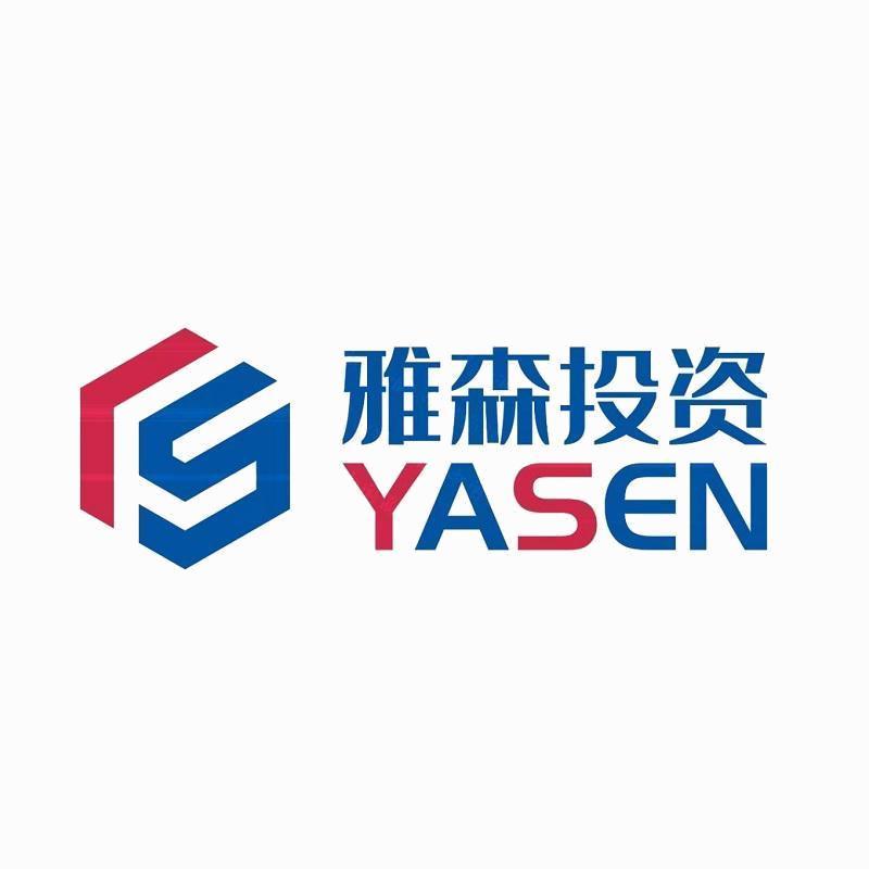 龍巖市雅森投資咨詢 專業視野下的投資智慧與實務指南